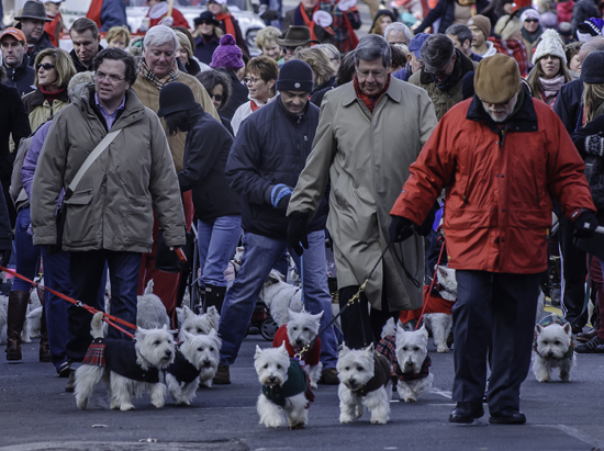 old-town-alexandria-scottish-christmas-walk-parade-scottie-dogs