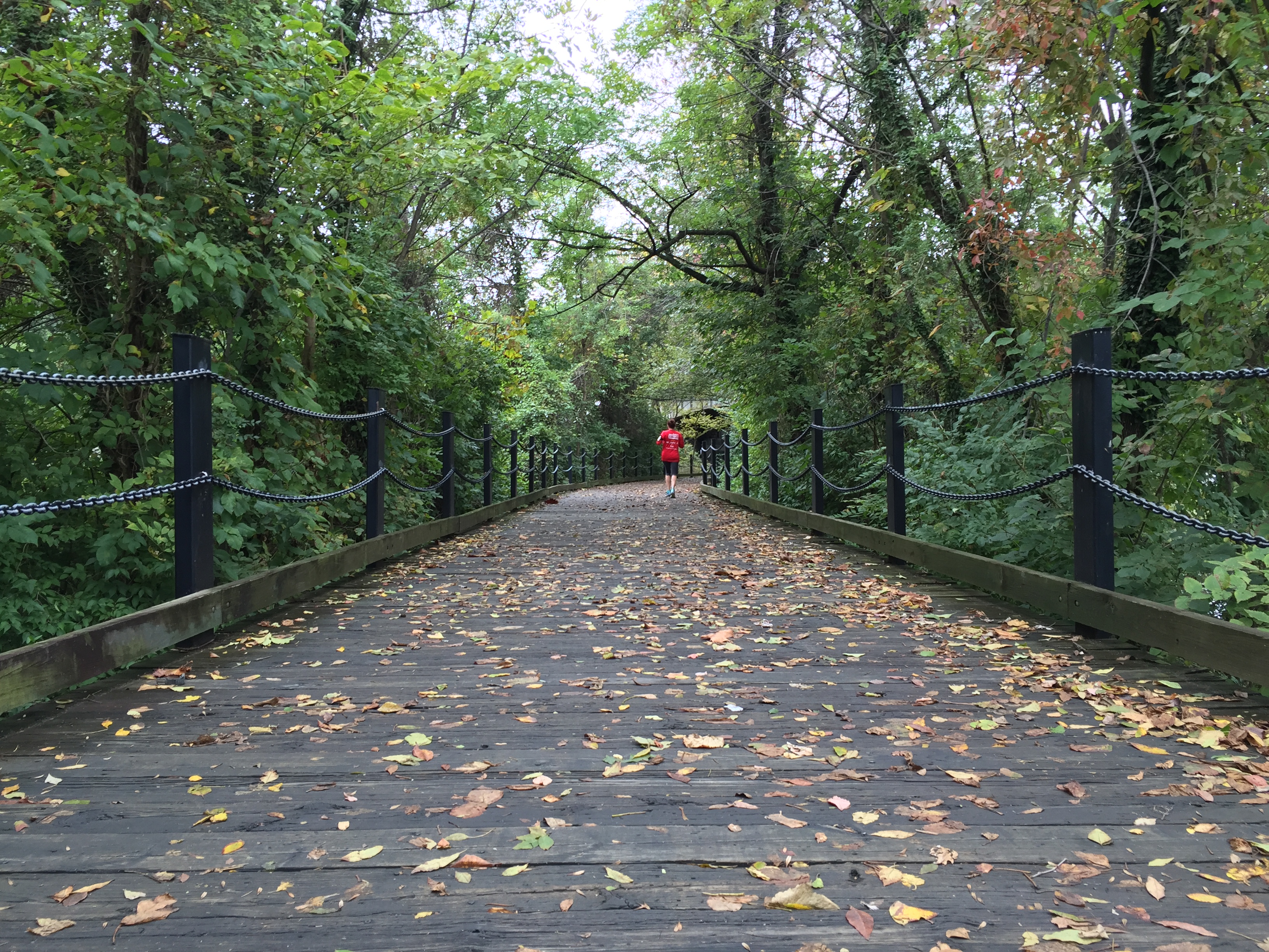 Mount Vernon Trail Fall Foliage