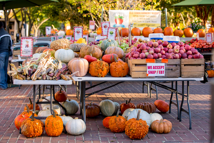 Old Town Farmers Market Alexandria Pumpkins | Visit Alexandria