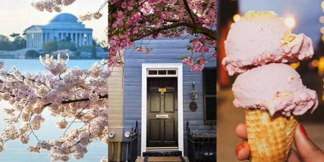 A collage showing cherry blossoms by the water, a charming house with pink blossoms overhead, and a hand holding a double scoop of pink ice cream in a cone.