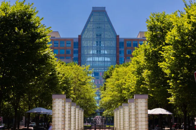 A modern glass building with a triangular roof stands behind a row of illuminated pillars and green leafy trees under a clear blue sky in the Carlyle Neighborhood.