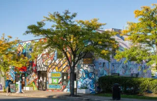A colorful mural covers the entire side of a building, featuring various artistic designs. Green trees with yellowing leaves line the sidewalk in front, and a clear blue sky is visible above.