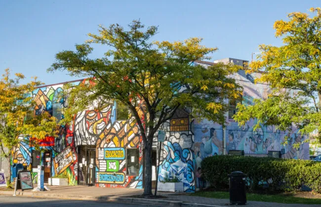 A colorful mural covers the entire side of a building, featuring various artistic designs. Green trees with yellowing leaves line the sidewalk in front, and a clear blue sky is visible above.