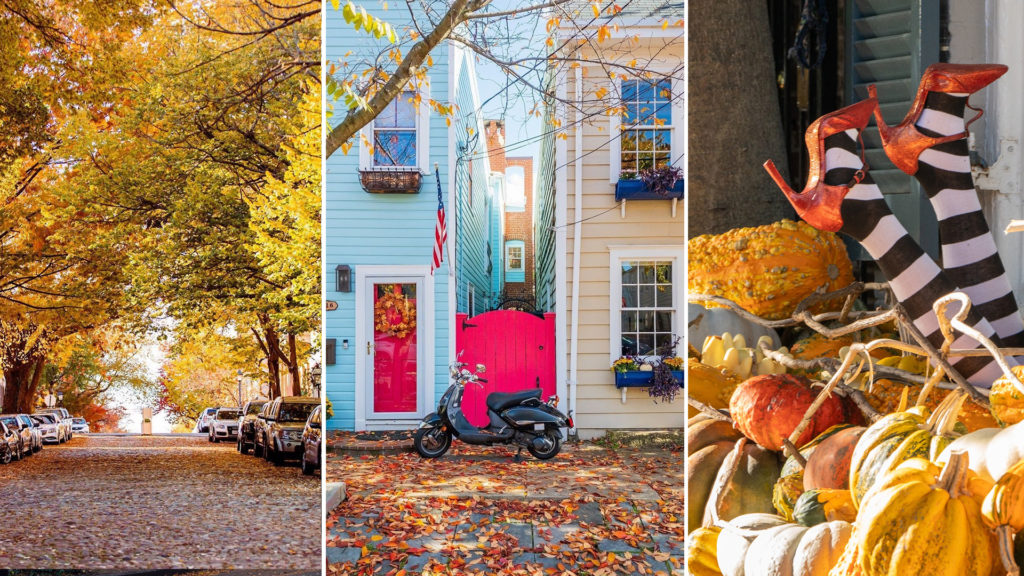 Halloween in Alexandria, VA 2022 Haunted Tours & Events