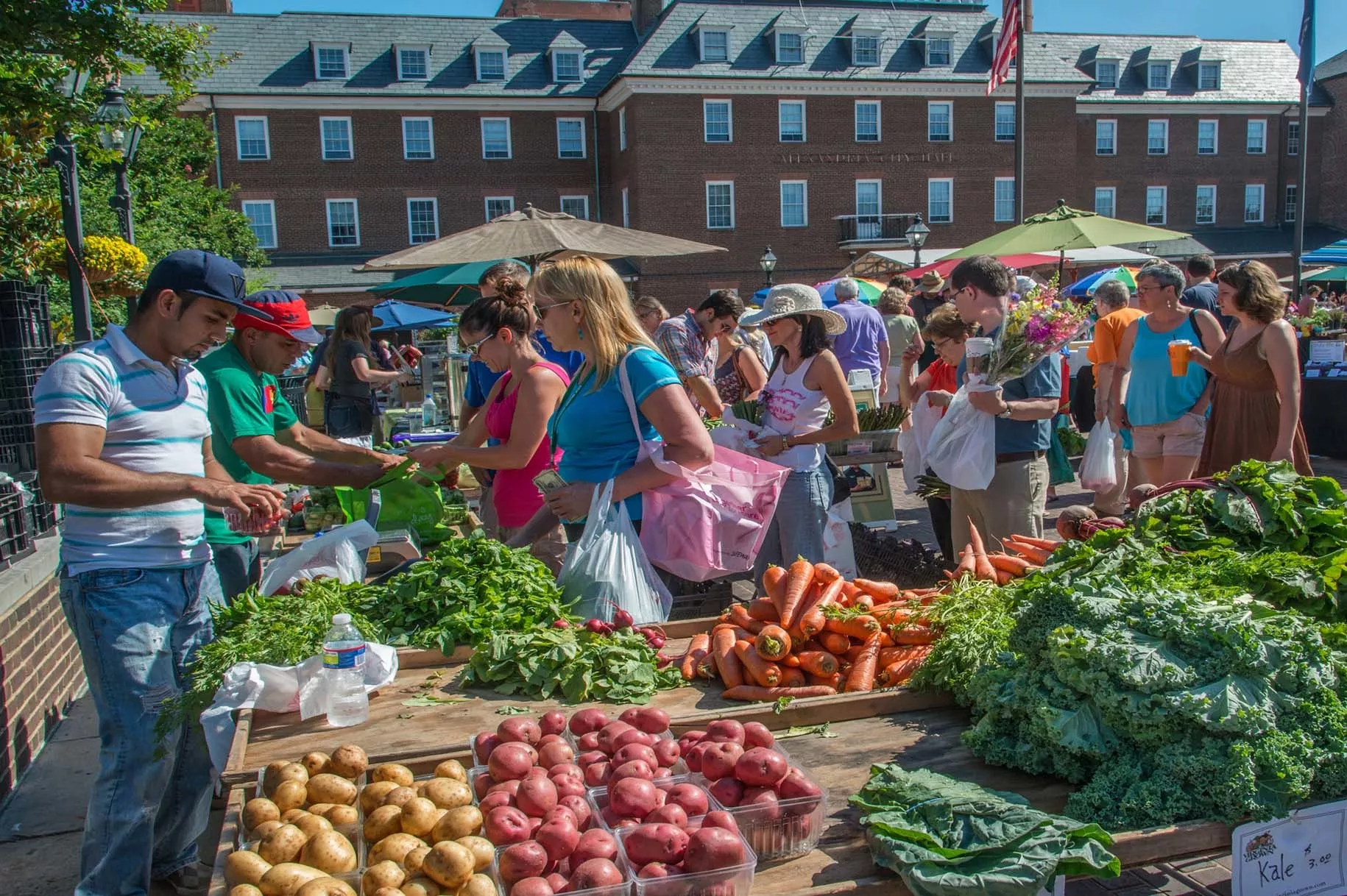 People shopping for fresh vegetables at an outdoor farmers market on a sunny day. Stalls display potatoes, carrots, kale, and leafy greens, while shoppers browse and vendors assist. Brick buildings are visible in the background.