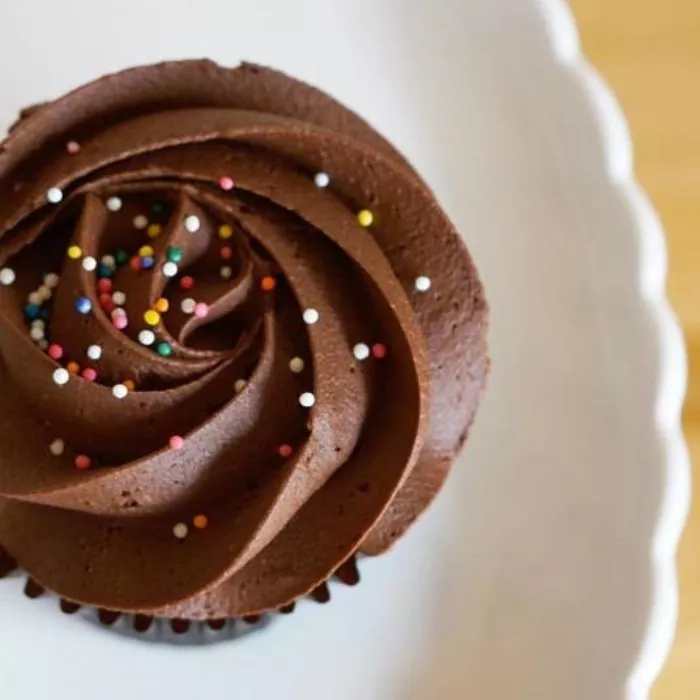 A chocolate cupcake with swirled chocolate frosting, topped with colorful round sprinkles, sits on a white scalloped plate.