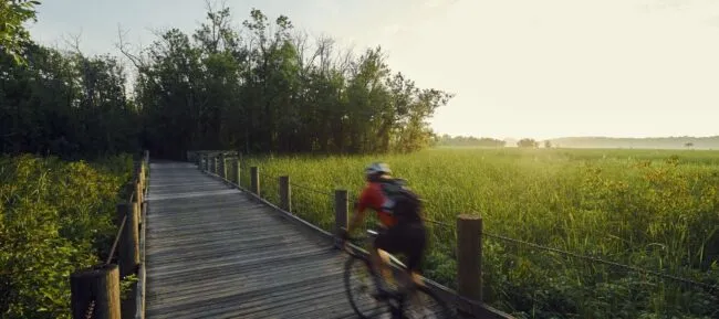 Cyclist on Mount Vernon Trail