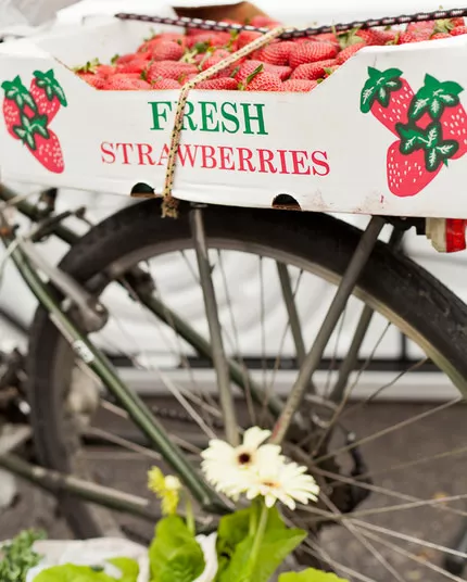 A crate labeled Fresh Strawberries filled with strawberries sits on the back of a bicycle. A few flowers and leafy greens are visible near the wheels.