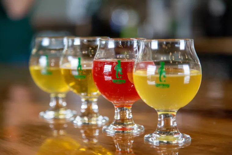 Four small glasses of cider are lined up on a wooden surface, each filled with different colored liquids—two are yellow, one is amber, and one is red. The glasses have a green logo printed on them.