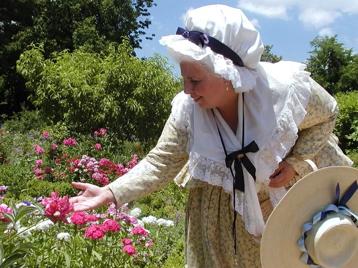 A woman in historic colonial attire, including a white bonnet and lace shawl, bends down to admire pink flowers in a colorful garden on a sunny day. She holds a straw hat with a blue ribbon in one hand.