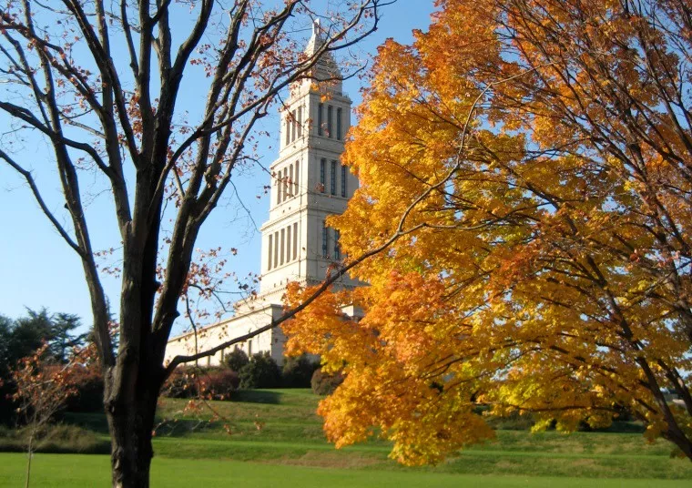 A tall, white, tiered building rises behind trees with bright orange and yellow autumn leaves, under a clear blue sky and above a green lawn.