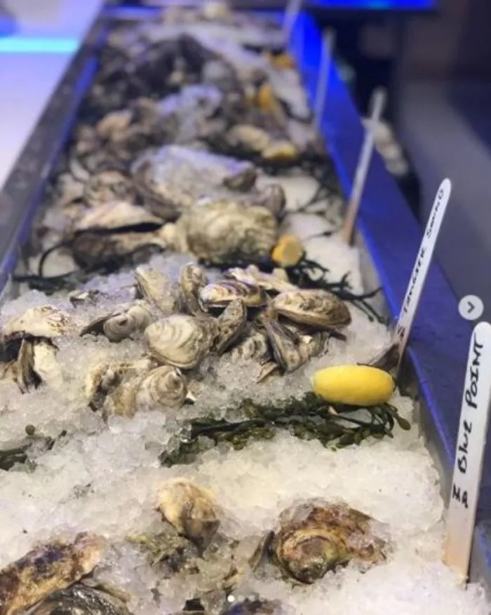 A close-up view of various oysters and clams displayed on a bed of ice at a seafood counter, with seaweed, lemon wedges, and small white signs marking different types.