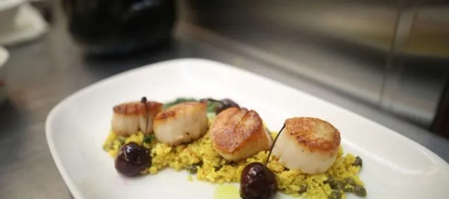 A white plate with four seared scallops arranged in a row atop a bed of yellow couscous, garnished with two dark cherries on skewers and drizzled with olive oil. The background shows a blurred kitchen setting.