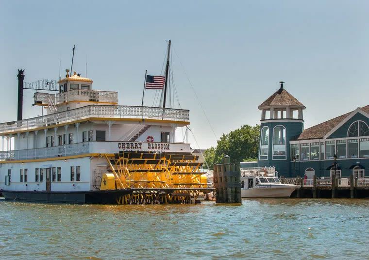 A white paddlewheel riverboat named Cherry Blossom is docked near a waterfront building with an American flag flying on top. The scene is sunny with calm water and additional boats nearby.