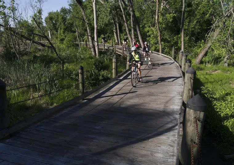 Cyclists wearing helmets ride bikes on a wooden boardwalk through a lush, green forested area on a sunny day. Shadows from the trees and cyclists stretch across the path.
