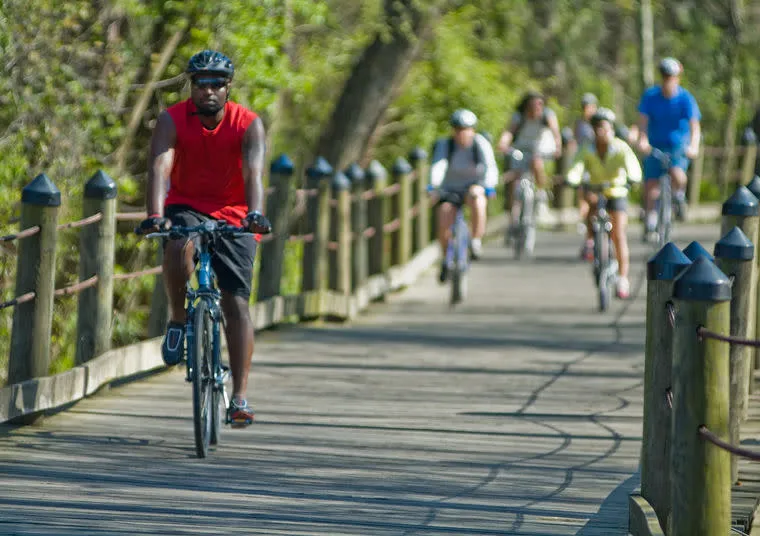 A man in a red shirt and helmet rides a bicycle on a wooden path, followed by several other cyclists. The path is bordered by posts and surrounded by greenery.