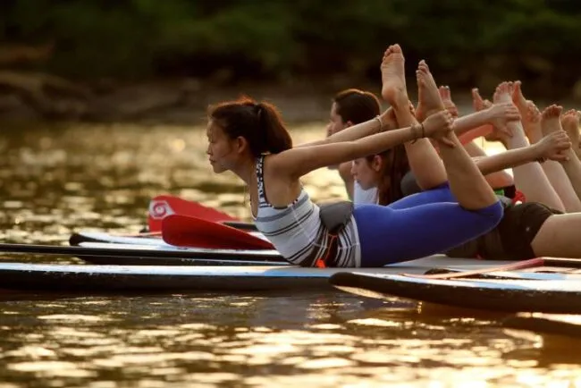 A group of people practice yoga on paddleboards in calm water, performing a bow pose at sunset with trees in the background.