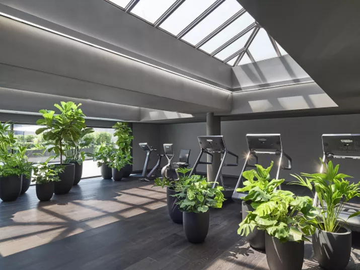 A modern gym with several treadmills and large potted green plants, featuring dark flooring and a glass ceiling that lets in natural sunlight.