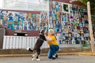 A woman kneels and smiles at a standing dog outside a building decorated with a colorful mural of many dog portraits. The scene is bright and cheerful.