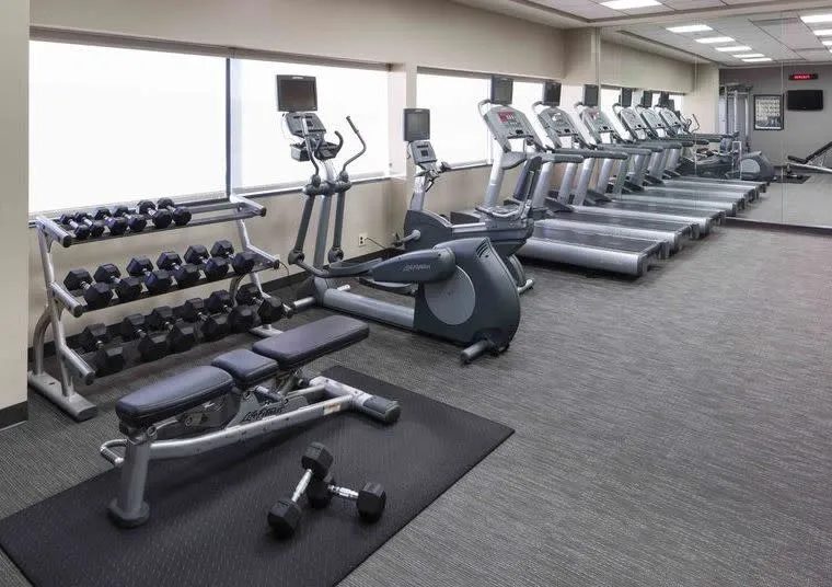 A modern gym with treadmills, stationary bikes, free weights on racks, a weight bench, and dumbbells on a carpeted floor. Large windows provide natural light, and mirrors cover one wall.