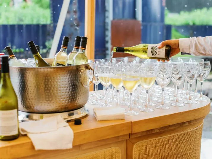 A person pours white wine into a row of wine glasses on a wooden counter, with a metal ice bucket holding wine bottles nearby and more empty glasses in the background.