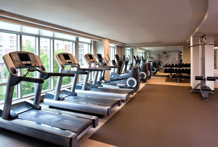 A modern gym with large windows, several treadmills, elliptical machines, stationary bikes, and a rack of dumbbells on the right side. The space is clean, bright, and spacious with natural light.