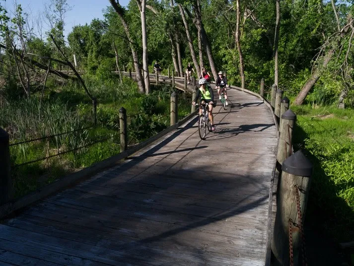 Two people ride bicycles on a wooden path through a lush, green forested area on a sunny day. Shadows from trees fall across the curved boardwalk.