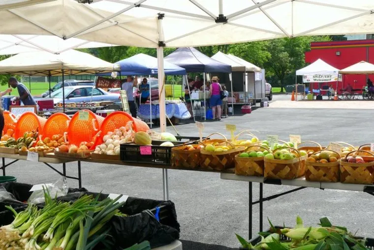 A farmers market with tables of fresh produce, including onions, squash, and apples in baskets. People browse various vendor stalls under white tents on a sunny day.
