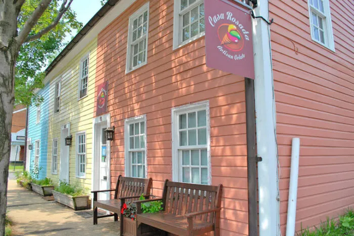 A row of colorful buildings, including a pink one with a Van Roosenda sign, wooden benches, potted plants, and large windows, along a sunny sidewalk lined with trees.
