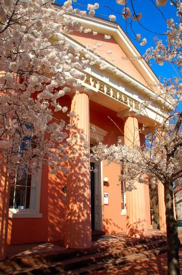 A peach-colored building with tall columns is framed by blooming cherry blossom trees under a clear blue sky. Sunlight casts shadows on the entrance steps and open door.