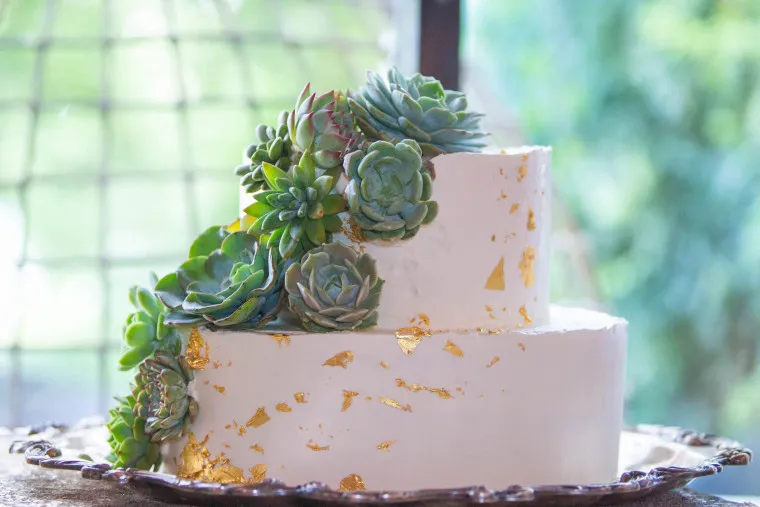 A two-tier white cake decorated with gold leaf accents and topped with a cluster of green succulents, displayed on a silver tray with a blurred outdoor background.
