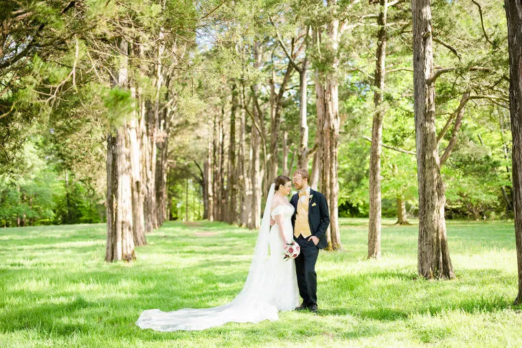 A bride and groom stand together in a sunlit forest, surrounded by tall trees and green grass, gazing lovingly at each other on their wedding day.