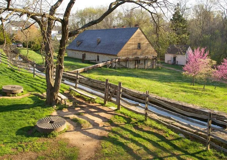 A rustic wooden barn sits on green grass behind a split rail fence and a narrow water channel. Blooming trees with pink flowers and millstones rest under a large tree in the foreground.