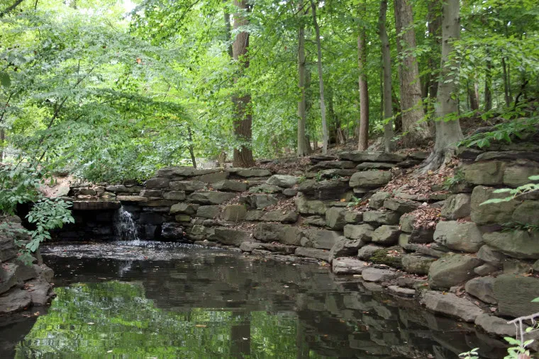 A small waterfall flows into a pond, surrounded by a stone wall and dense green trees in a forested area, with leaves and branches reflecting on the calm water.