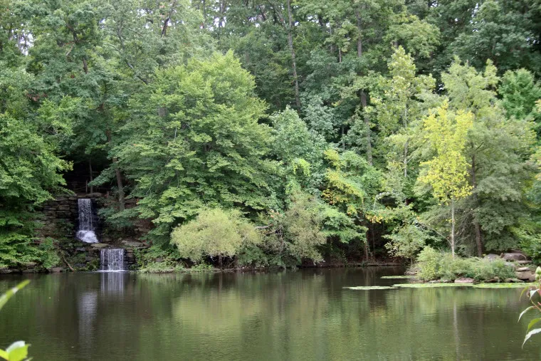 A small waterfall flows into a calm pond surrounded by dense green trees and foliage, creating a peaceful natural scene.