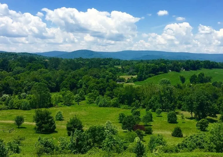 A lush green landscape with scattered trees and fields stretches toward distant blue mountains under a partly cloudy sky on a bright day.