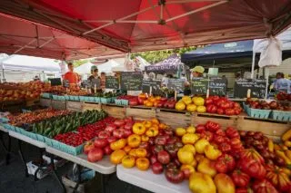 A colorful farmers market stall displays a variety of fresh tomatoes, peppers, and other produce in baskets and crates, with chalkboard signs and vendors standing behind the red canopy-covered tables.