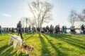 A large group of people walk through a park on a sunny day, some with dogs on leashes. Shadows from bare trees stretch across the grassy area as the sun shines in the background.