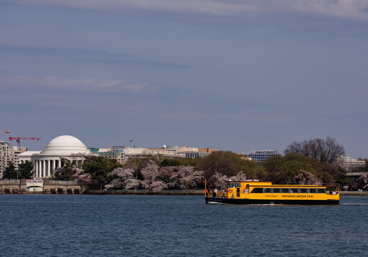 A yellow Potomac Water Taxi cruising on the river in front of the Jefferson Memorial.