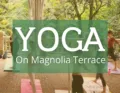 Group practicing yoga outdoors on a terrace at sunrise or sunset