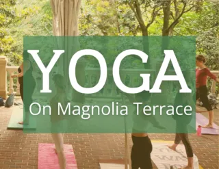 Group practicing yoga outdoors on a terrace at sunrise or sunset