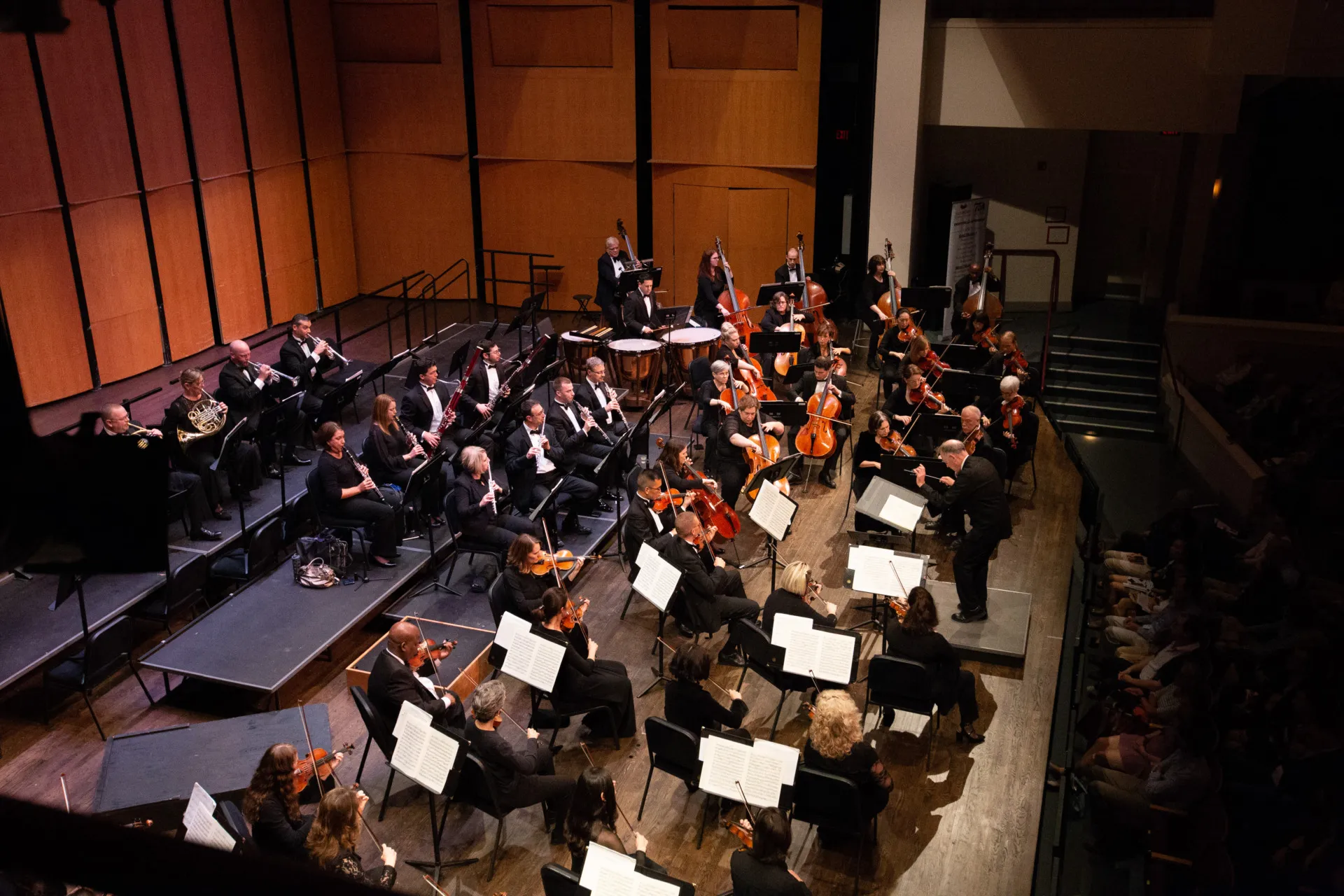 A group of musicians from Alexandria Symphony Orchestra seated on stage with various band instruments.