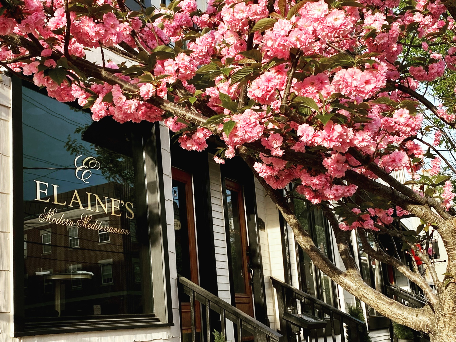 An exterior shot of Elaine's located in Queen Street.