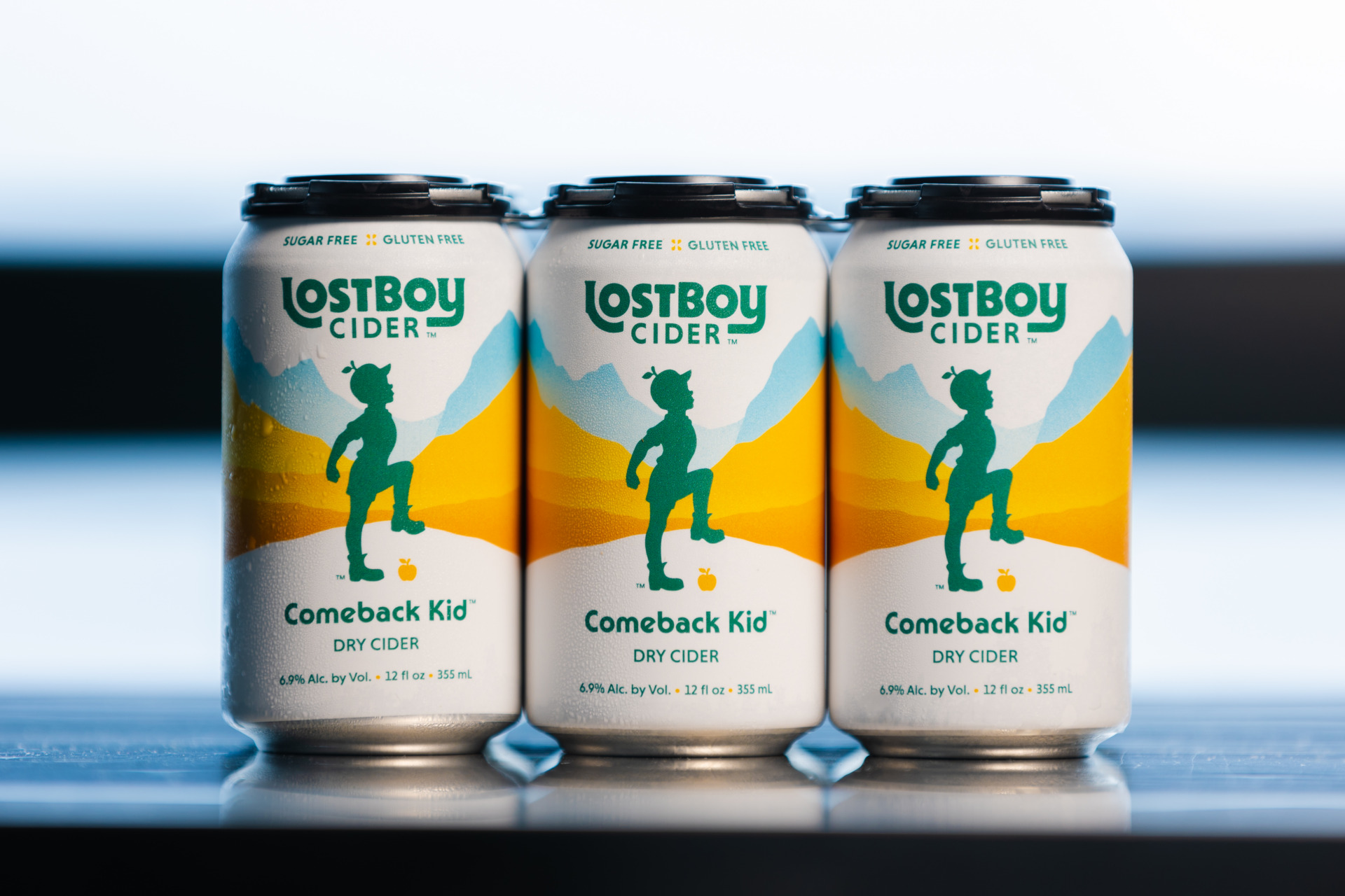 An image of Lost Boy Cider's canned ciders. The logo stamped on front.